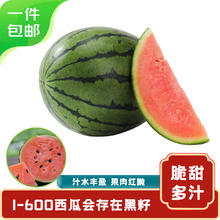 京鲜生 特小凤西瓜 2粒净重6-7斤 单果3斤起 新鲜水果 源头直发