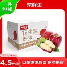 京鲜生 甘肃天水花牛 苹果 4.5斤装单果70-75mm 生鲜水果 源头直发