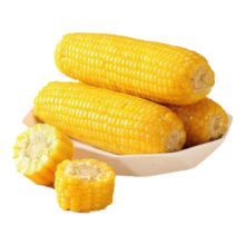 精品黄糯玉米 2棒 单棒＞180g 真空锁鲜