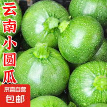 云南高原嫩南瓜绿皮瓜露天种植 嫩南瓜5个装 3斤 净重