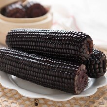 当季新货黄土高原黑玉米新鲜黑糯玉米棒 3根