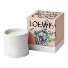【官方正品】LOEWE罗意威牛至香氛香薰蜡烛 植物小众