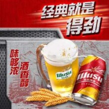 WUSU 新疆乌苏啤酒 经典乌苏烈性啤酒 330ml*24罐*3件 送2罐*3件