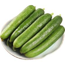 康师傅 330ml 冰红茶蜜茶冰糖雪梨水蜜桃酸梅汤茶饮料 330ml*24瓶