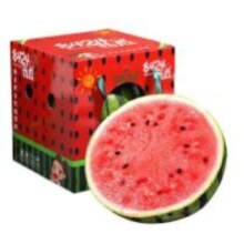 春福乐 8424麒麟西瓜 净重4-5斤优选装 双重特厚网套