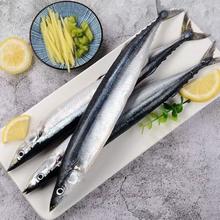 新鲜秋刀鱼冷冻海鲜烧烤食材1斤6条左右 5%冰衣 秋刀鱼 3斤