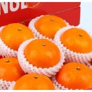 粤迎 广西沃柑 净4.5斤