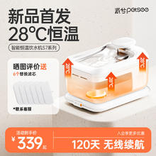 派兮 petsee猫咪饮水机恒温加热宠物自动循环不插电饮水器4L大容量