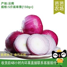【芭芭农场】紫皮洋葱5斤装
