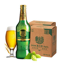 奥古特 青岛啤酒奥古特瓶装啤酒12度 480mL 6瓶 赠扎啤杯
