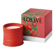 【官方正品】LOEWE罗意威番茄叶香氛香薰蜡烛植物礼物