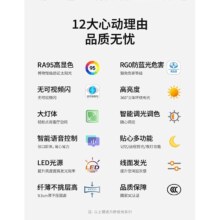 雷士照明现代简约led北欧吸顶灯具套餐温馨浪漫客厅灯卧室灯灯具套餐