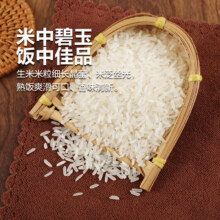 当季新米软香丝苗米晚稻籼米长粒香丝苗米500g*1袋