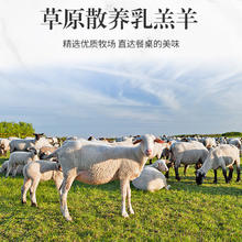 88VIP会员：大咖鲜森 California Ranch 加州牛仔 河北原切羔羊肉 10斤