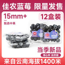 京东PLUS：佳沛 宝石红奇异果4粒装单果重约80~88g+怡颗莓蓝莓18mm4盒装125g/盒
