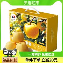 洛川苹果 luochuanapple LUOCHUAN APPLE 洛川苹果 陕西维纳斯黄金苹果 12枚75mm