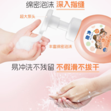 LION 狮王 趣净泡沫抑菌洗手液沁心西柚450ml*1