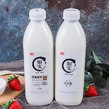 光明 零蔗糖益生菌低温酸奶 950g*3桶