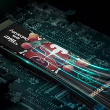 限移动端、京东百亿补贴：梵想 国潮系列 S500 PRO NVMe M.2 固态硬盘 1TB（PCI-E3.0）
