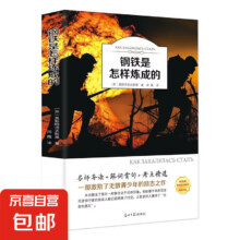 钢铁是怎样炼成的 正版原著完整无删减版 世界名著书籍