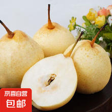 Zhaozhou 赵州 河北水晶鸭梨 4斤带箱