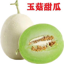 爆甜 玉菇瓜 冰淇淋瓜 4.5斤 1-2个