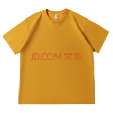 凡客诚品（VANCL）凡客诚品vancl 230克重磅棉质短袖上衣夏装男女同款￥27.00