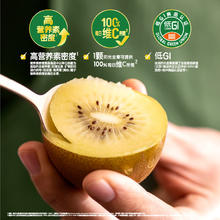 佳沛 新西兰阳光金奇异果10粒礼盒巨大果单果约146-175g 猕猴桃