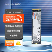 芯点子 C700 SSD固态硬盘 M.2接口 NVMe PCIe4.0 台式机笔记本电脑存储硬盘 2TB