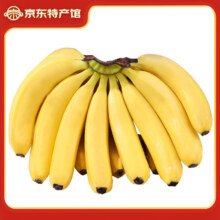 静益乐源 新鲜云南大香蕉 5斤*2件