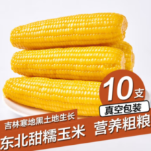 KEEP W-VILLAGE GO守望乡村  东北玉米 甜糯香 10支 单支180g