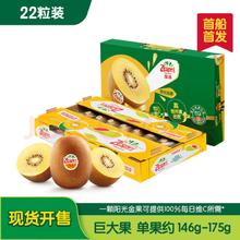 佳沛 阳光金果 奇异果 巨大果 单果146-174g 22个