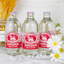 象牌 百香果味苏打水325ml*5瓶