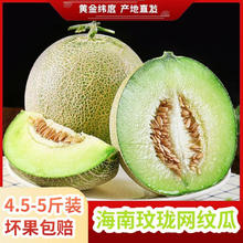 需首购：海南玫珑网纹蜜瓜当季冰淇淋甜瓜榨汁 优选果4.5-5斤（2-4个）