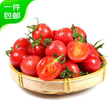 京鲜生 千禧圣女果 1.5kg 装