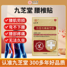 中华老字号，九芝堂 伤湿祛痛磁疗贴 4贴/盒9.9元包邮