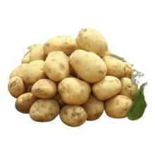 新鲜山东土豆带箱3斤 中大果