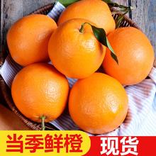 橙之味 正宗江西赣南脐橙 5斤 单个180g