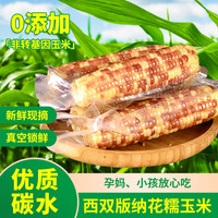 糯小鲜 云南西双版纳花糯小玉米1斤装