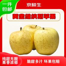 京鲜生 山东烟台黄金维纳斯苹果 净重4.5斤 单果140g起 源头直发 净重4.5斤 单果140g+