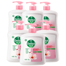 滴露（Dettol）洗手液滋润500g*6 抑菌洗手液家庭装儿童消毒无酒精温和护手