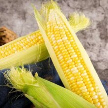 20点：佳农 菜云南新鲜金银水果玉米可生吃单根200g以上净重4.5斤源头直发