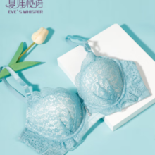 EVE‘S WHISPER 夏娃之秀 性感蕾丝文胸罩   Y055湖水蓝