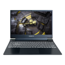 20点：神舟（HASEE）战神S8 笔记本(i7-13620H 16G 512G RTX4060 144Hz)