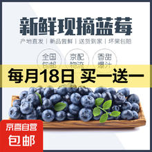 买一赠一：现摘蓝莓特大果 净重110g/盒 18-22mm 1盒装