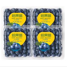 樱鲜 云南蓝莓 花香蓝莓 带箱1斤 单果15mm+净重4盒*100g