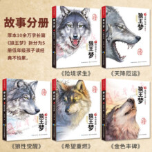 狼王梦正版包邮全套5册 沈石溪动物小说画本系列三四五六年级小学生课外阅读书籍 6-15岁儿童文学故事书畅销读物沈石溪的书