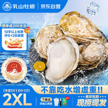乳山牡蛎 鲜活乳山生蚝2XL号 净重3斤装 9-12只海鲜礼盒 一定先领券18.65元（需买2件，需用券）
