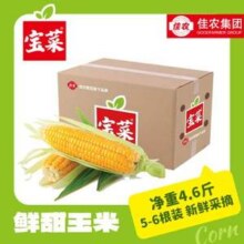 佳农 宝菜 山东新鲜水果玉米 单根275g+ 净重4.6斤16.68元包邮（3.6元/斤）