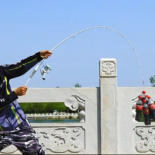 jx 京喜 小白竿套装 新手入门 1.8m 直柄竿+纺车轮基础套装